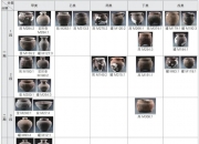 陕西洛川考古发现秦人大型公共墓地