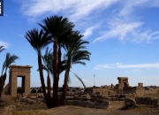 中埃联合考古队重启考古发掘工作 成果丰硕