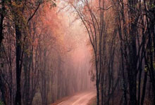 朱元璋处治官员出怪招不手软