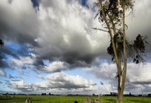 有现代意识的古代美女不做贵妃做民妇