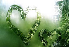 清官断案讲法理也讲情理