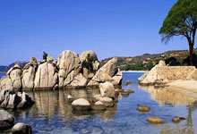 孙殿英盗取清东陵的宝物藏到了哪里